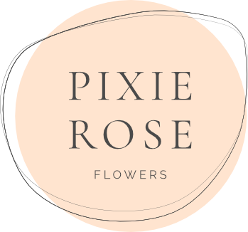 Pixie Rose Flowers